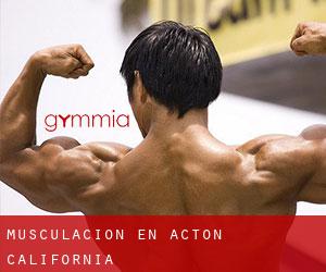 Musculación en Acton (California)