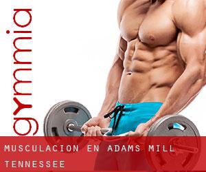Musculación en Adams Mill (Tennessee)