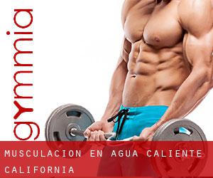 Musculación en Agua Caliente (California)