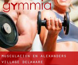 Musculación en Alexanders Village (Delaware)