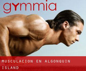Musculación en Algonquin Island