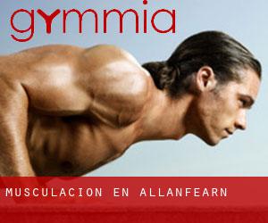 Musculación en Allanfearn