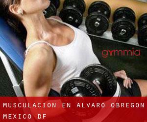 Musculación en Alvaro Obregon (Mexico D.F.)