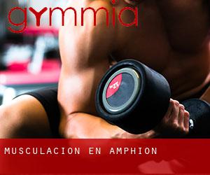 Musculación en Amphion