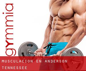 Musculación en Anderson (Tennessee)