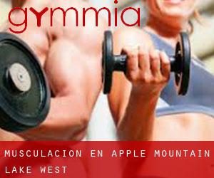 Musculación en Apple Mountain Lake West