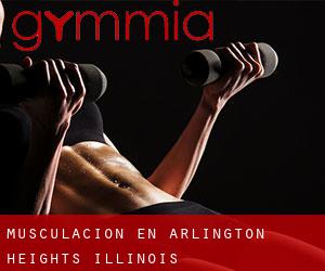 Musculación en Arlington Heights (Illinois)