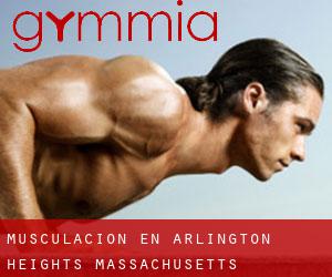 Musculación en Arlington Heights (Massachusetts)
