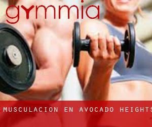 Musculación en Avocado Heights