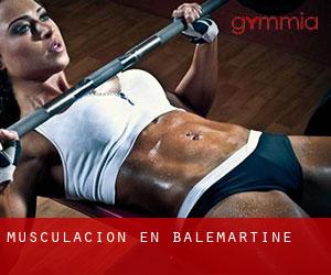 Musculación en Balemartine