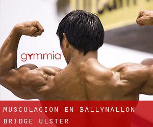 Musculación en Ballynallon Bridge (Úlster)