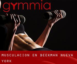 Musculación en Beekman (Nueva York)