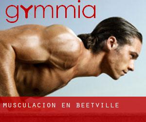 Musculación en Beetville