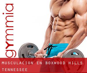 Musculación en Boxwood Hills (Tennessee)
