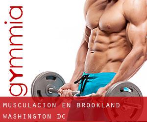Musculación en Brookland (Washington, D.C.)