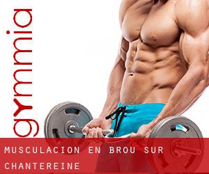 Musculación en Brou-sur-Chantereine