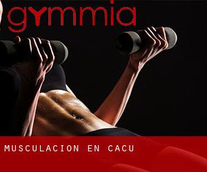 Musculación en Caçu