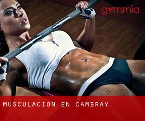 Musculación en Cambray