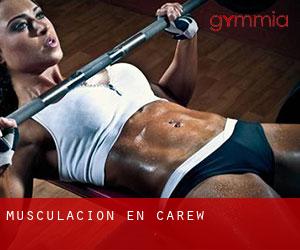 Musculación en Carew