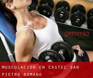 Musculación en Castel San Pietro Romano