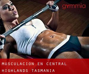Musculación en Central Highlands (Tasmania)