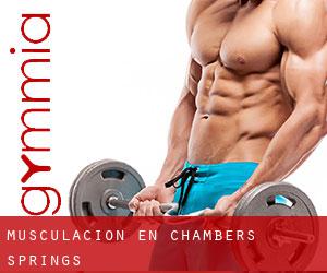 Musculación en Chambers Springs