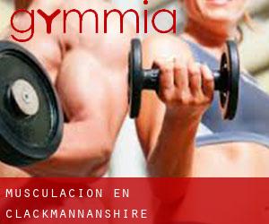 Musculación en Clackmannanshire