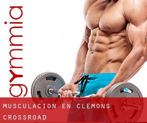 Musculación en Clemons Crossroad