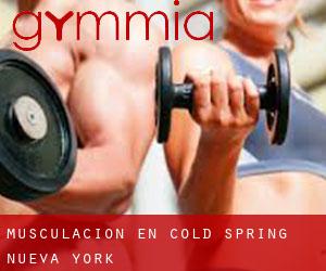 Musculación en Cold Spring (Nueva York)