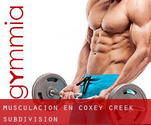Musculación en Coxey Creek Subdivision