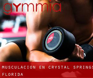 Musculación en Crystal Springs (Florida)