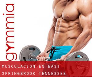 Musculación en East Springbrook (Tennessee)