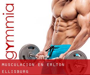 Musculación en Erlton-Ellisburg