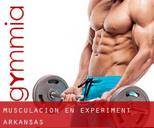 Musculación en Experiment (Arkansas)