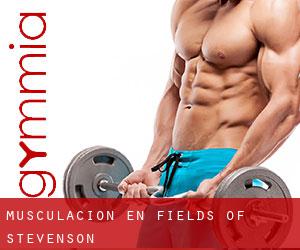 Musculación en Fields of Stevenson