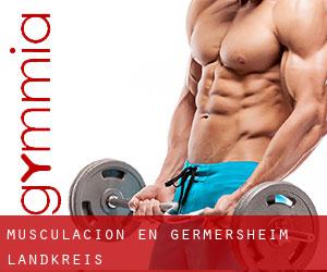Musculación en Germersheim Landkreis