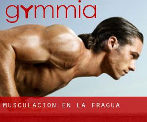 Musculación en La Fragua