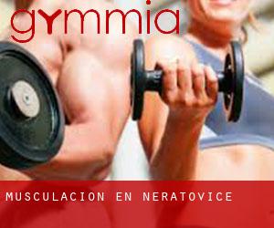 Musculación en Neratovice Musculación en Neratovice