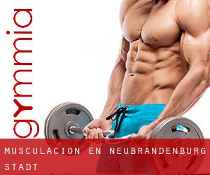 Musculación en Neubrandenburg Stadt