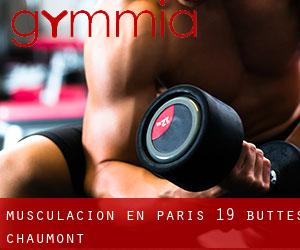 Musculación en Paris 19 Buttes-Chaumont