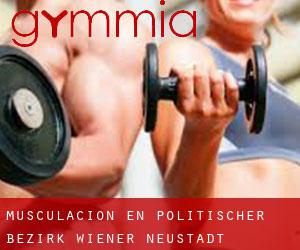 Musculación en Politischer Bezirk Wiener Neustadt