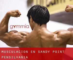 Musculación en Sandy Point (Pensilvania)
