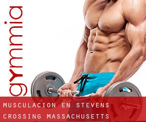 Musculación en Stevens Crossing (Massachusetts)