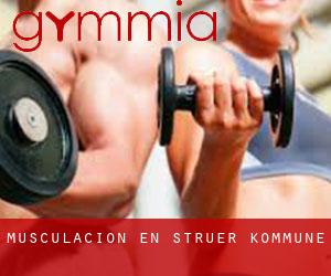 Musculación en Struer Kommune