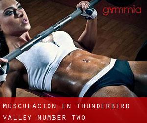 Musculación en Thunderbird Valley Number Two