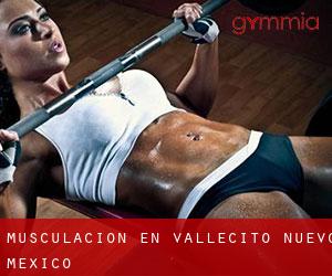 Musculación en Vallecito (Nuevo México)