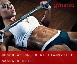 Musculación en Williamsville (Massachusetts)