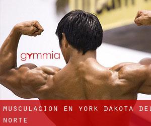 Musculación en York (Dakota del Norte)