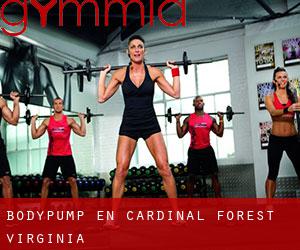 BodyPump en Cardinal Forest (Virginia)