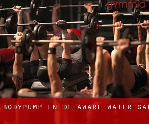 BodyPump en Delaware Water Gap